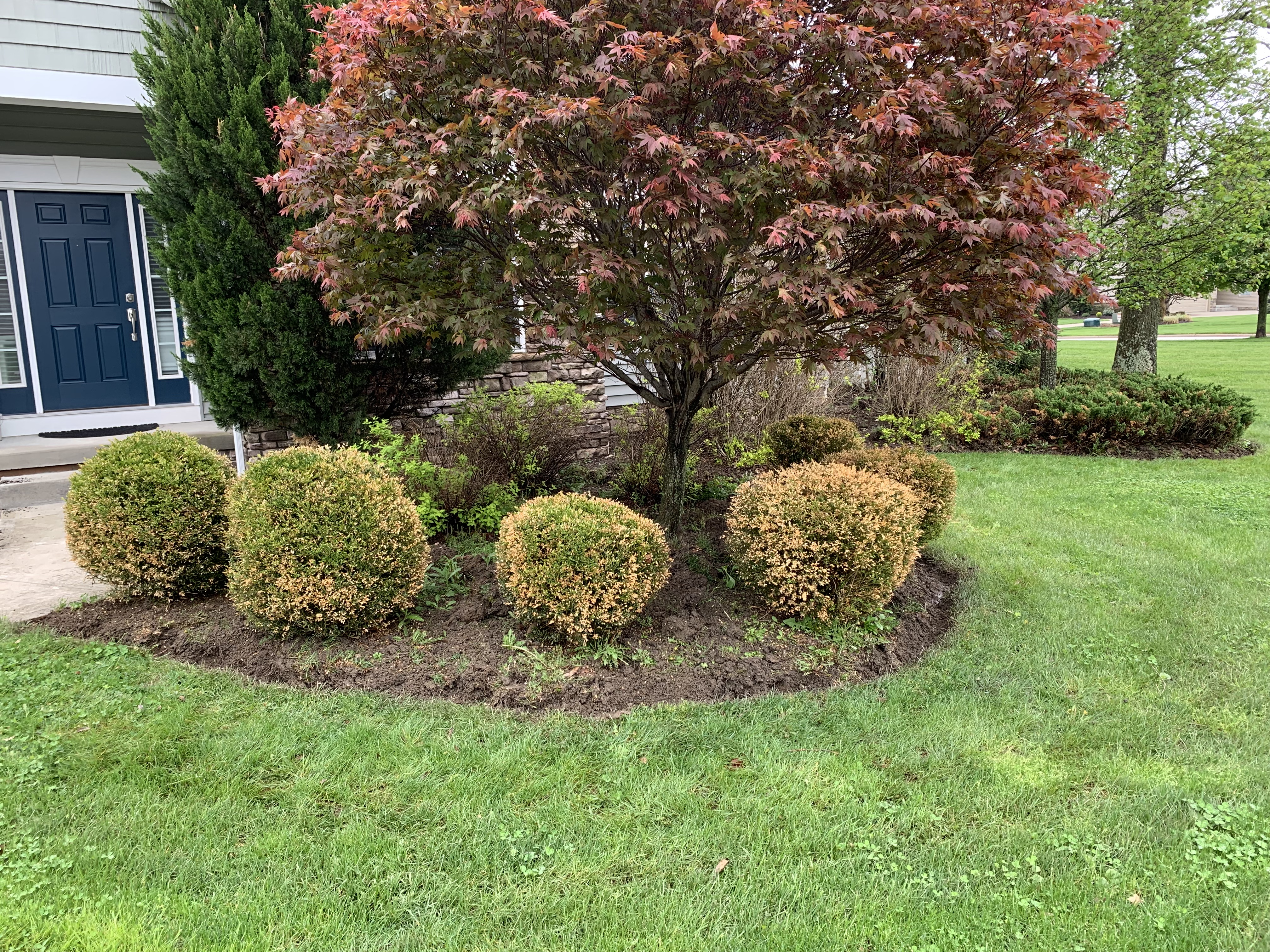 Before professional landscaping service in Cleveland Area Ohio